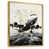 Gold Floater Framed