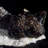 Sphalerite, Calcite and Dolomite. Elmwood Mine