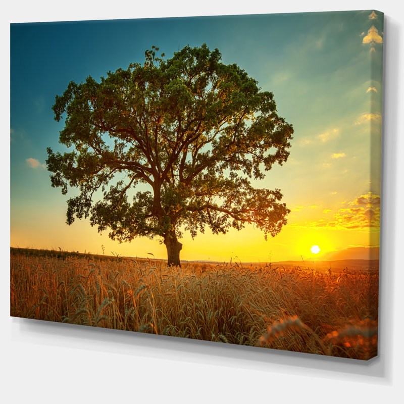 «Big Green Tree in Summer Field», reproduction de photo sur toile tendue, H 8 po x l 12 po