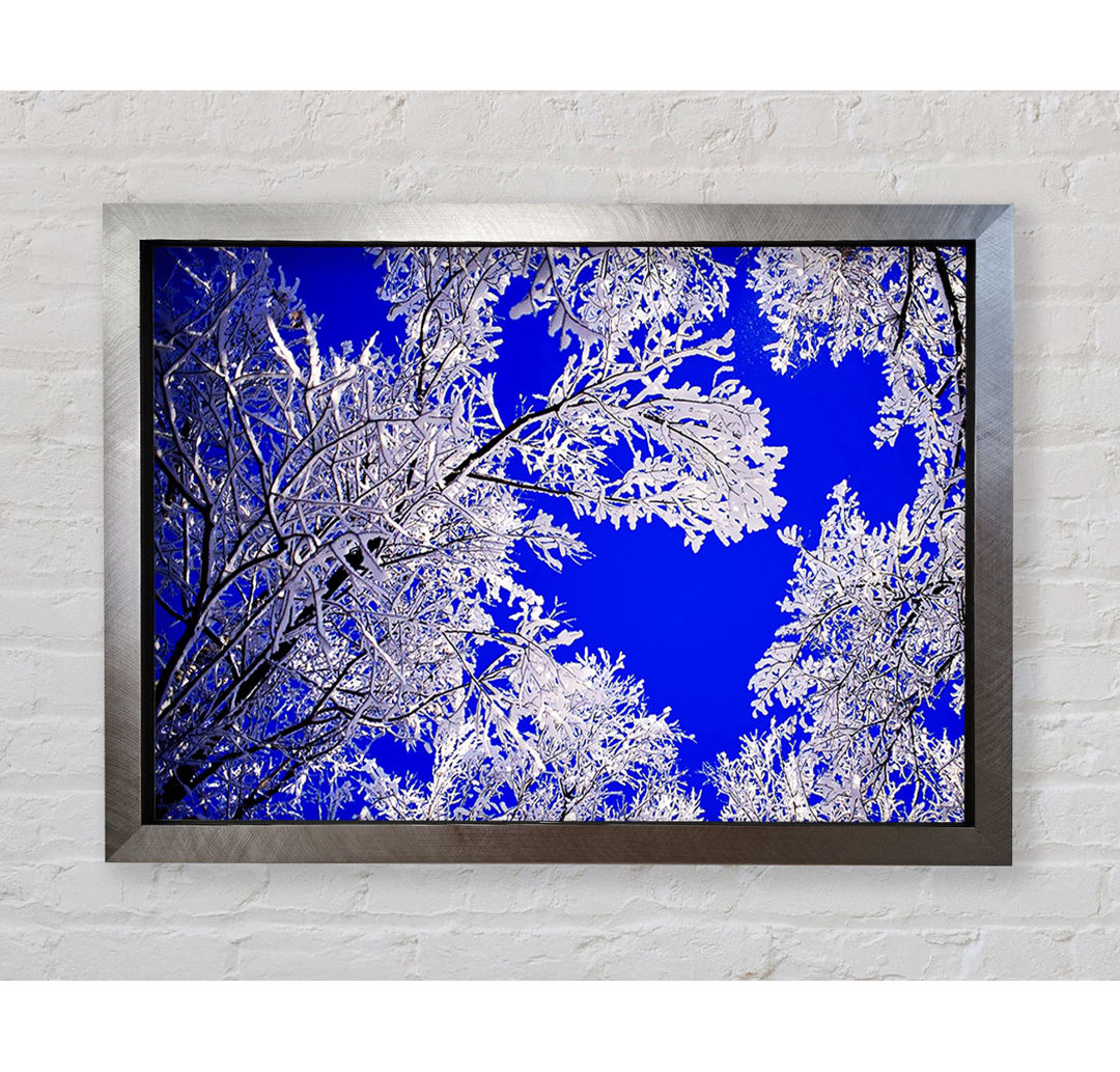 Gerahmtes Poster Winter Ice Tree In Sunlight