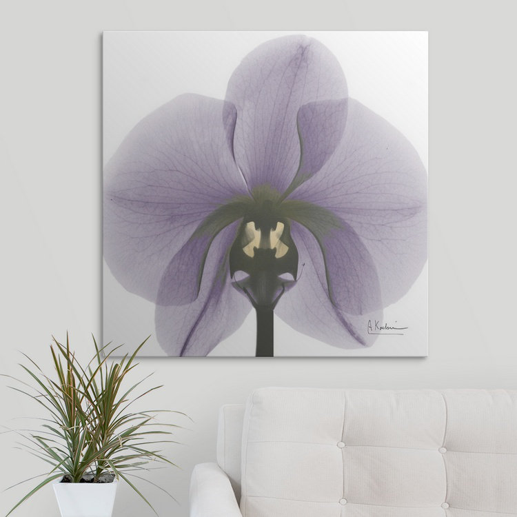 «par albert koetsier,, reproduction de photo Orchid X-Ray, H 20 po x l 20 po x P 1,5 po, Toile