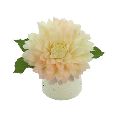 Dahlia in Fiberstone Pot