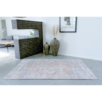 Derouen Oriental Area Rug