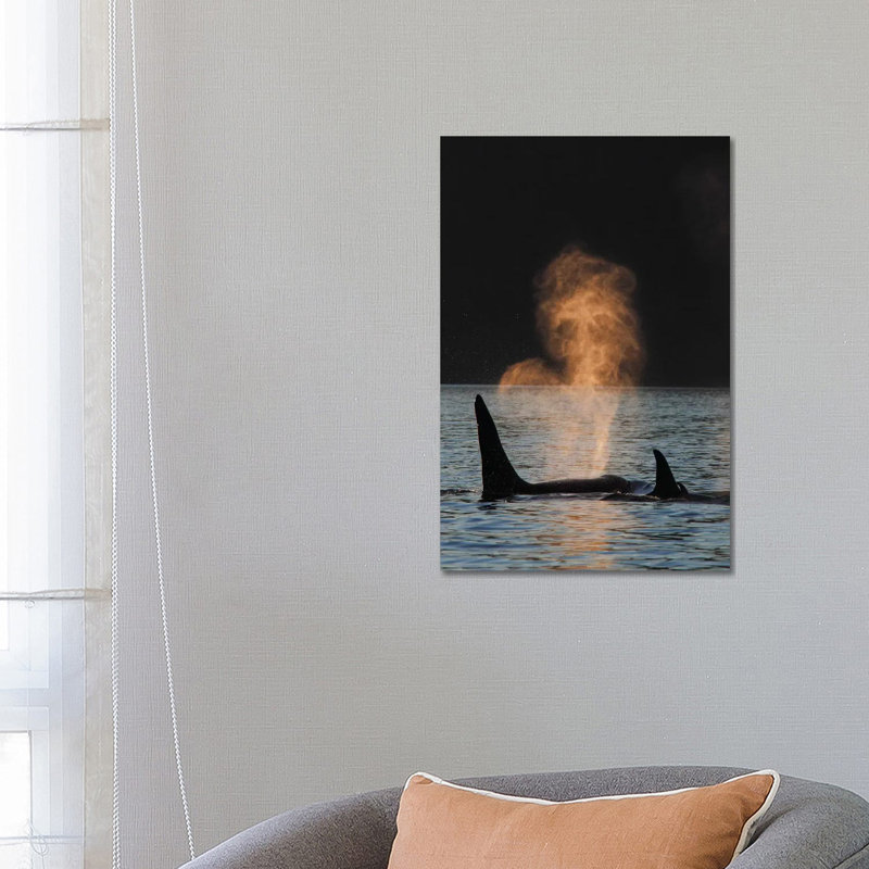 Orca Resident Pod Spouting, Prince William Sound, Alaska by Hiroya Minakuchi - Wrapped Canvas Print