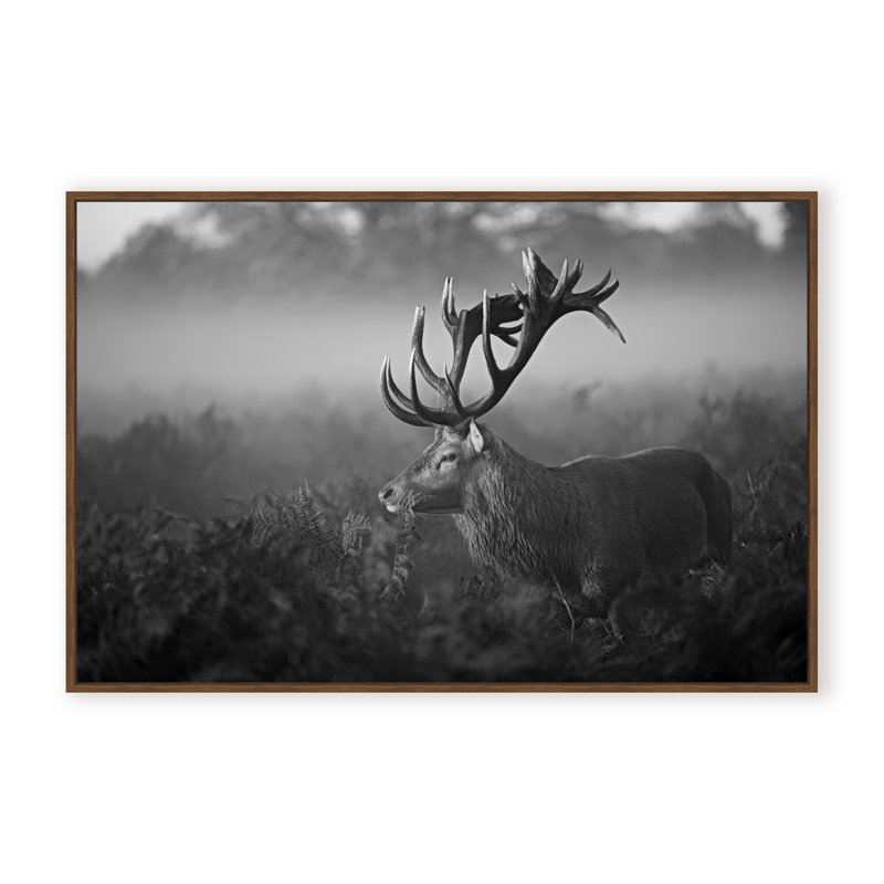 Nature Inspired Sunny Morning by  - Picture Frame Photograph on Paper, 24" H x 36" W x 1.125" D, Framed Matted Print, Black