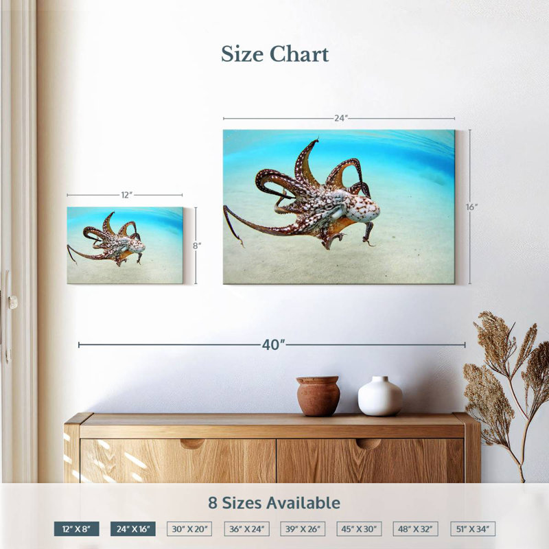 Brampt Wild Ocean Octopus, 16" H x 24" W