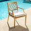 Paladium Outdoor Teak Dining Armchair