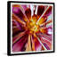 Exotic Succulent - Single Picture Frame Painting-527127360