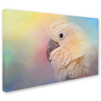 «Every Day is Colorful Umbrella Cockatoo» par Vidur, impression sur toile tendue