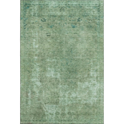 Premium Machine Washable Marasco AMF1629 Global Rug