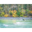Autumn On The Stillaquamish River Print-65782535-65782538-92903962