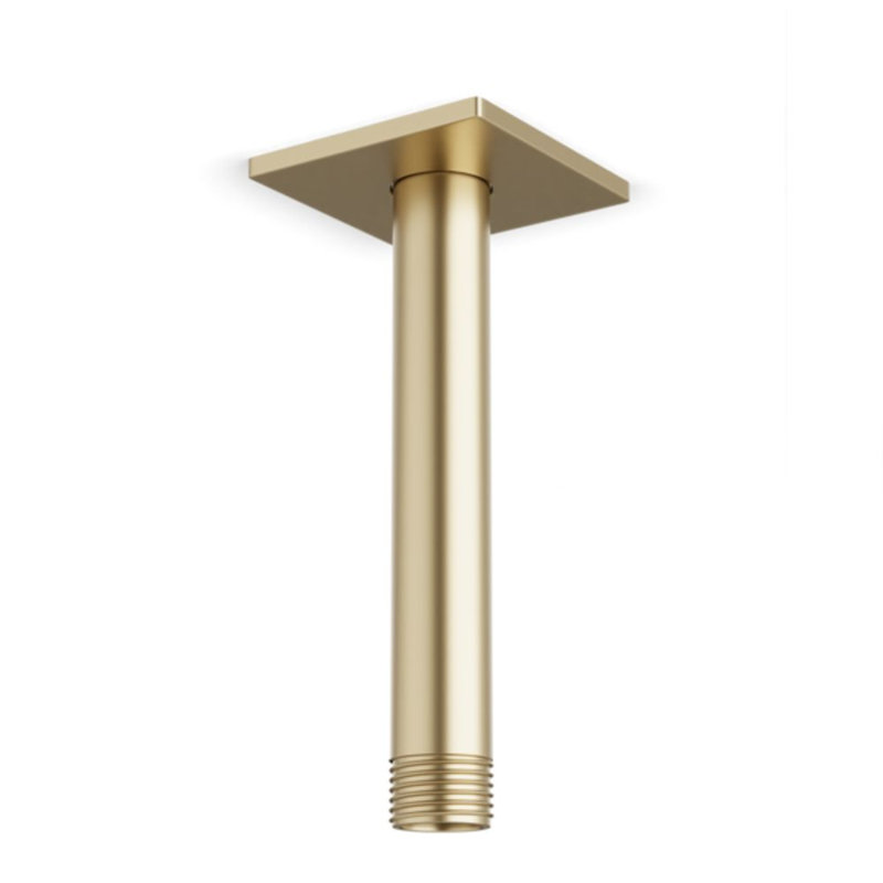 Ceiling Mount 4.75" Shower Arm R+S Escutcheon, Satin Brass, Satin Brass