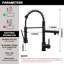 HGN Kitchen Faucet-100477274