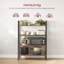 Annalin 137.5cm H x 80cm W Metal Standard Bookcase