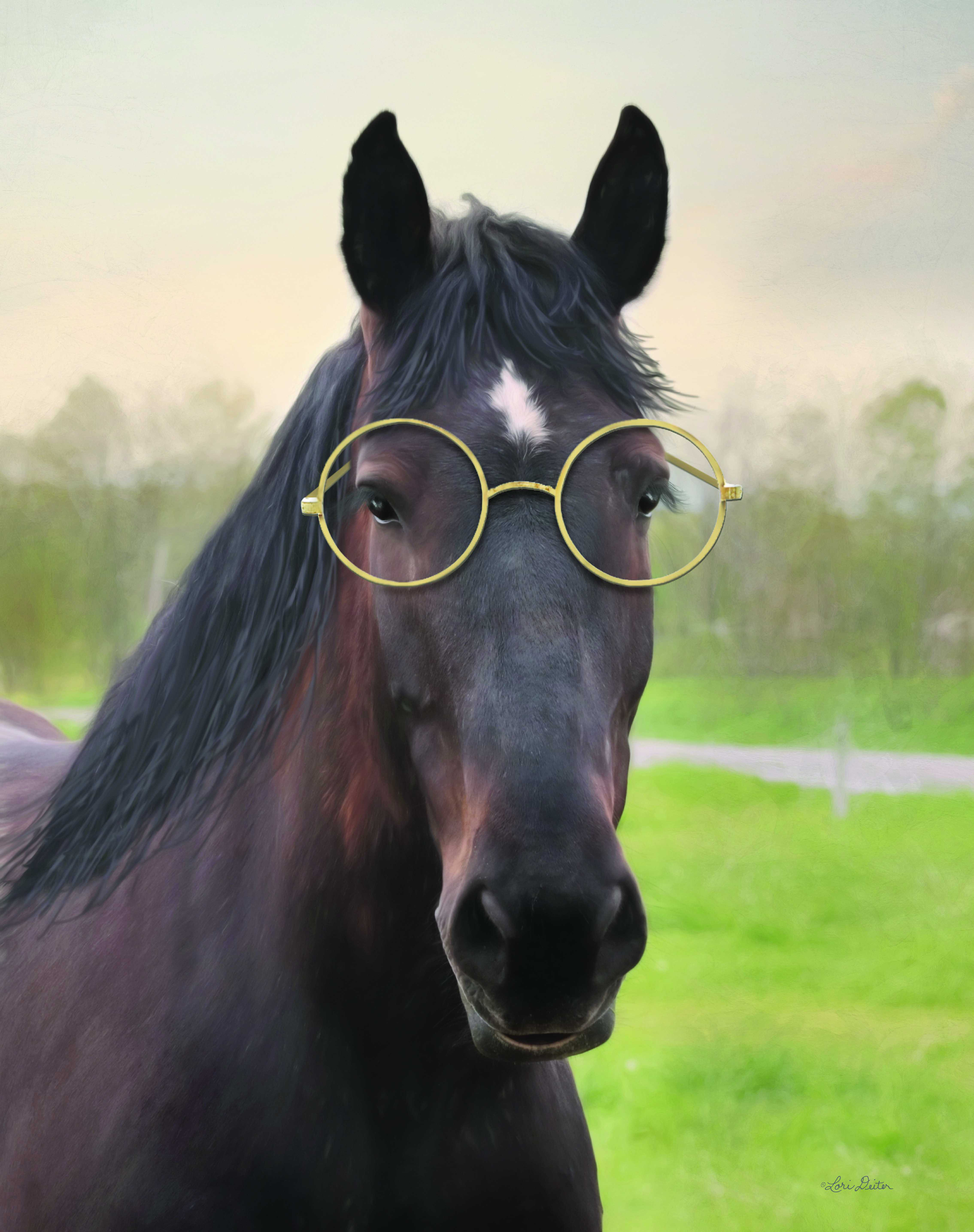 Horse hotsell with glasses