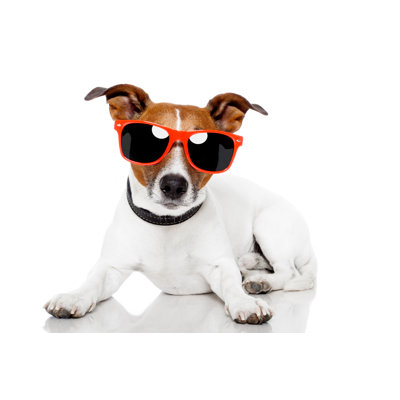 Dog With Schades by damedeeso - Wrapped Canvas Rectangle Print