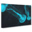 Neon Blue Jellyfish - Wrapped Canvas-56628805