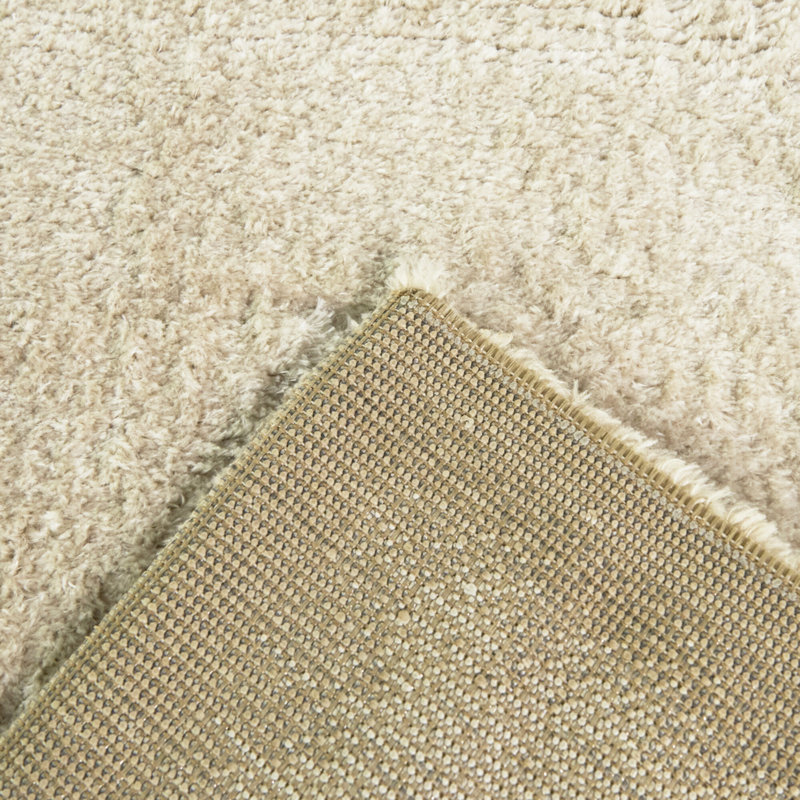 Rakhimov Taupe Solid Border Area Rug, Rectangle 5'3" x 7'