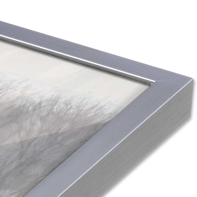 «Weathered Grace heureusement» par Lori Deiter, reproduction d'art, L 48 x H 36, Argent, Impression encadrée