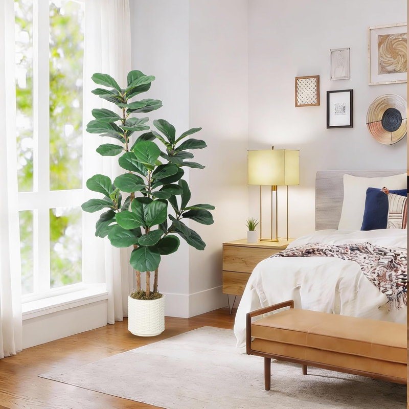 120cm Plant