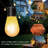Outdoor String Lights With Dimmable Warm White LED Bulbs (Set Of 12)