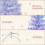 Sapin de Noël artificiel pré-éclairé 5 pi avec branches réalistes, lumières DEL multicolores, fibre optique et 180 pointes - blanc / bleu