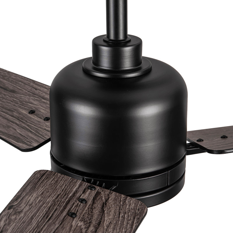 Ventilateur de plafond 48 po avec lumière Lowe, Noir, Noir