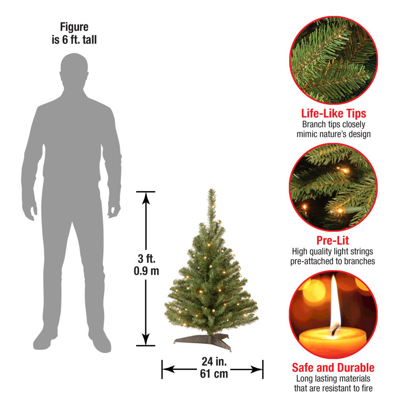 The Holiday Aisle® 3ft. Kincaid Spruce Tree with Clear Lights