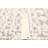 Timeless Cream Rug 5'1" x 8'0"