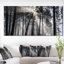 «Sunbeam Through Black White Forest», photographie-35125679-35125685