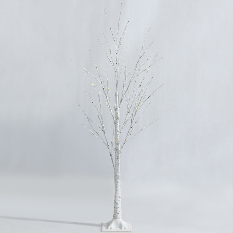 Lighted Christmas Tree