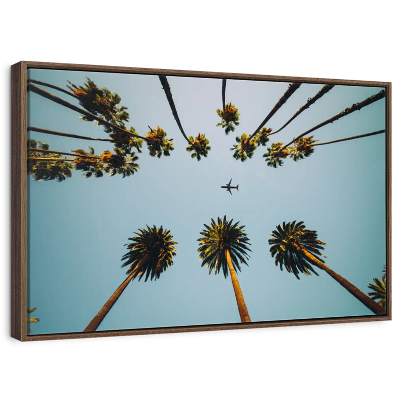 Avion sous les palmiers, 37 po x 25 po, Cadre flottant en noyer