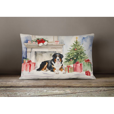 Other/No Pattern Outdoor Throw Pillow