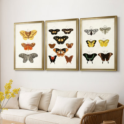 «Vintage Butterflies IV» - Toile tendue avec châssis sur mesure - 3 pièces