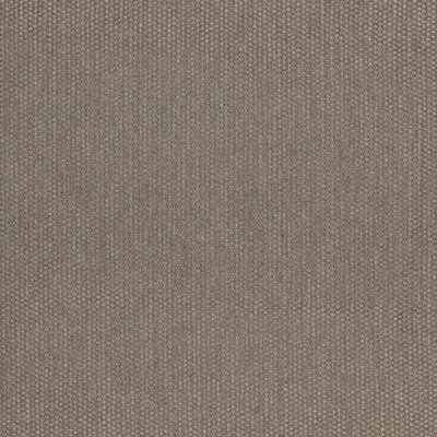Times Square Fabric