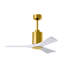 Patricia LED Downrod Ceiling Fan-1323428714-1248882459-1286615720