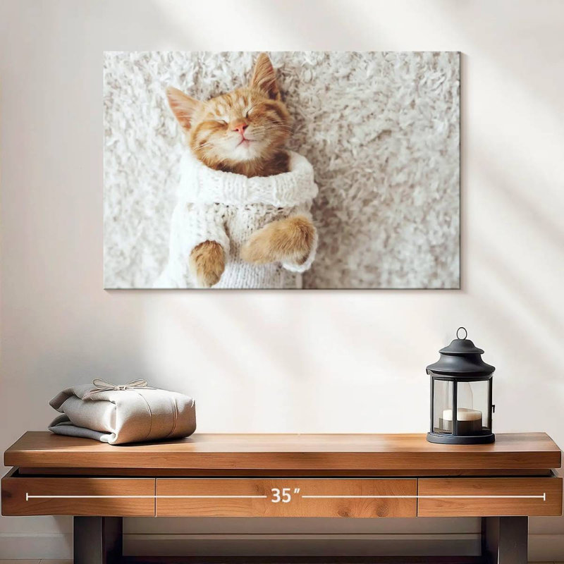 Chat Brampt dans un chandail, H 16 po x l 24 po