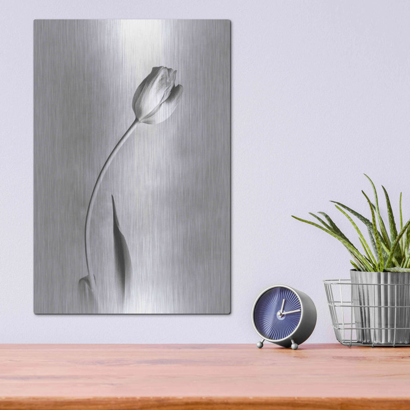 «Soft Tulips I» par Debra Van Swearingen, art mural en métal, H 16 po x l 12 po
