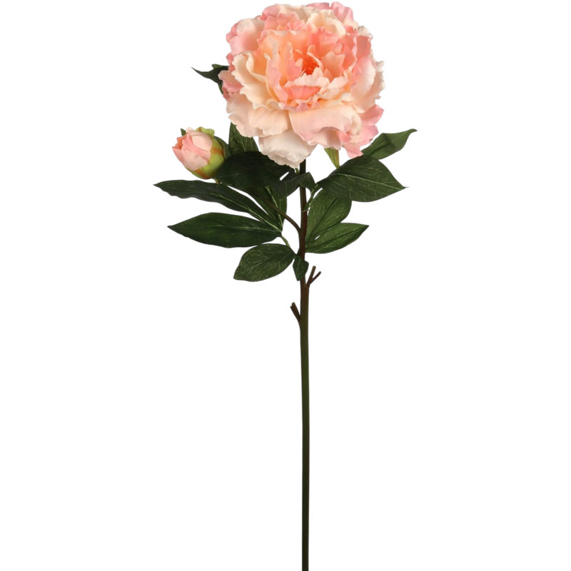4pcs 30" Peony Stem