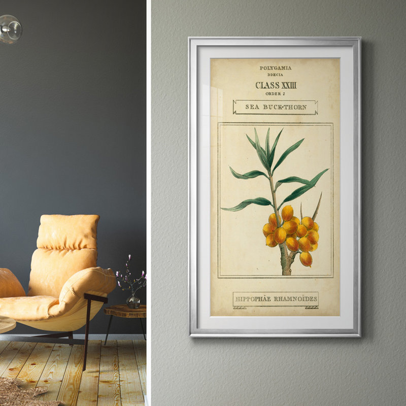 Linnaean Botany III - Peinture sur toile encadrée, H 14,5 po x l 26,5 po x P 1,5 po, Argent