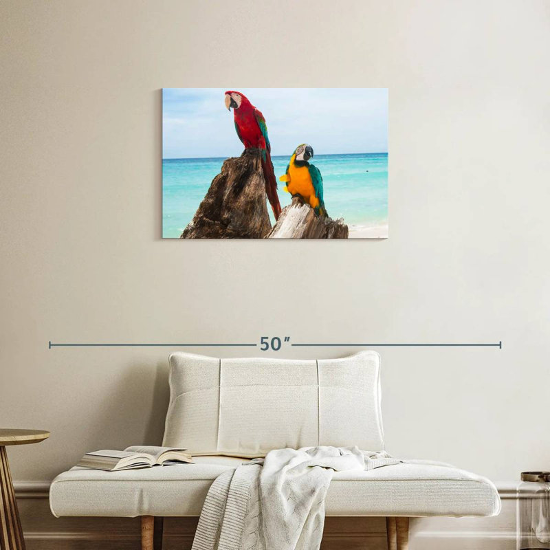 Brampt Resting Macaws, 20" H x 30" W
