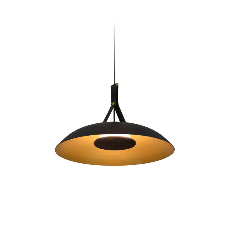 Volo 24" LED Pendant, 2700K, Noir