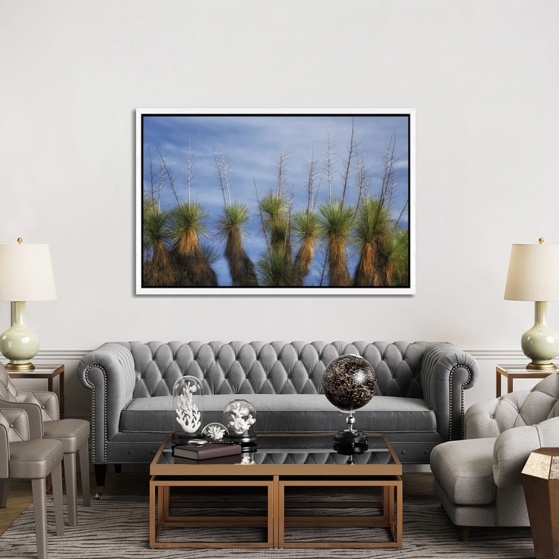 Cactus Display by Dennis Frates - Gallery-Wrapped Canvas Giclée on Canvas, 101.6 cm H x 152.4 cm W  x  4.445 cm D, White