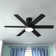 60" Solaria 6 - Blade Outdoor Standard Ceiling Fan with Lights