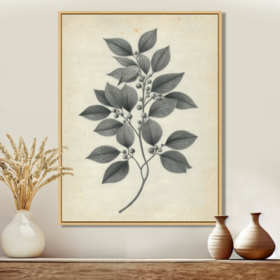 Impression sur toile botanique grise