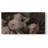 Botanical Series-CDXXX- Gallery Wrapped Canvas -Ready to Hang-1999576092