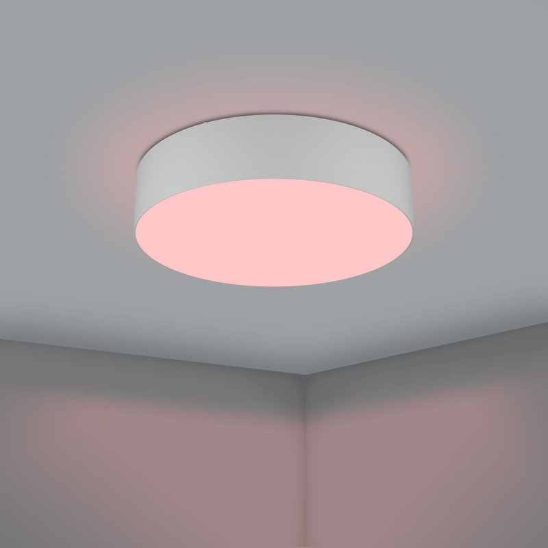 Kinde Plastic Flush Mount, Light Grey