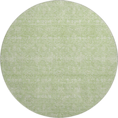 Premium Machine Washable Prisco Aloe Rug