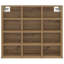 Shoe Cabinet-1022872574