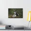 No Frame Print on Canvas-1129166118